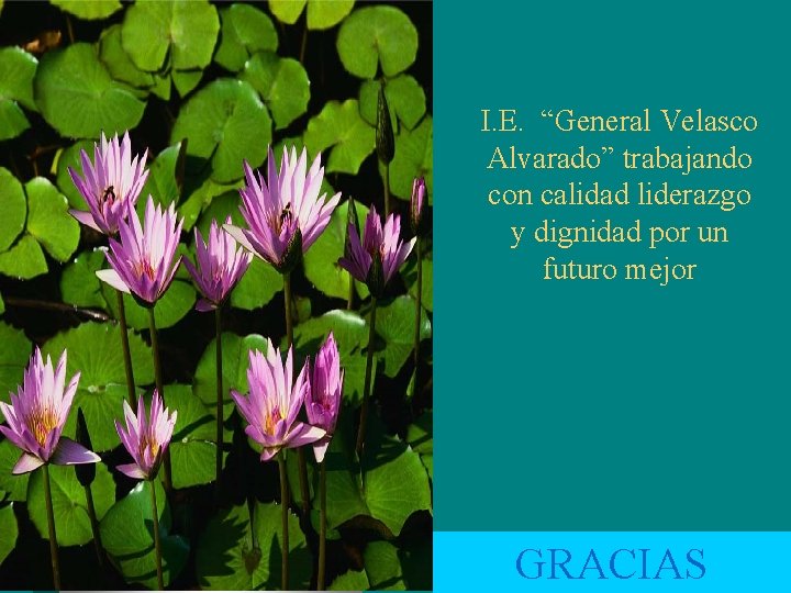 I. E. “General Velasco Alvarado” trabajando con calidad liderazgo y dignidad por un futuro