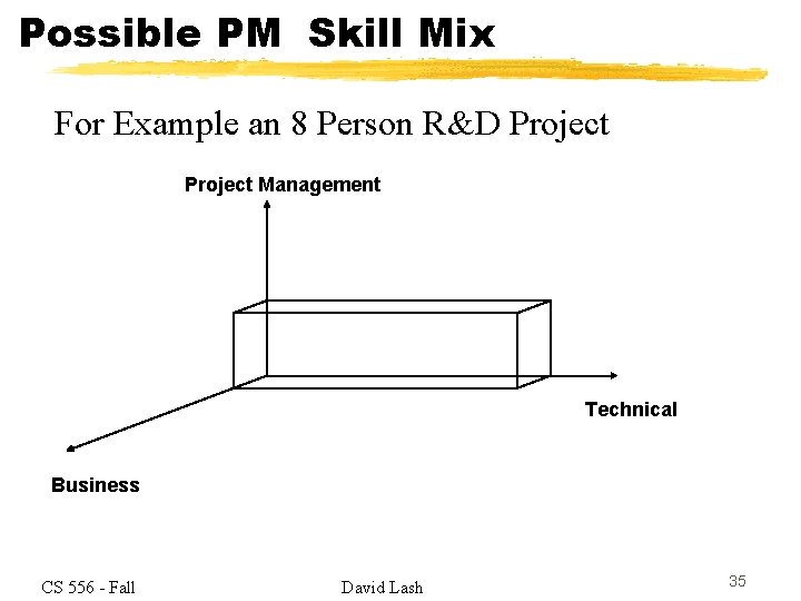 Possible PM Skill Mix For Example an 8 Person R&D Project Management Technical Business