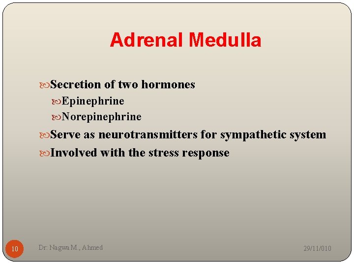 Adrenal Medulla Secretion of two hormones Epinephrine Norepinephrine Serve as neurotransmitters for sympathetic system