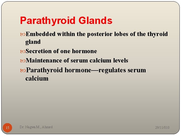 Parathyroid Glands Embedded within the posterior lobes of the thyroid gland Secretion of one
