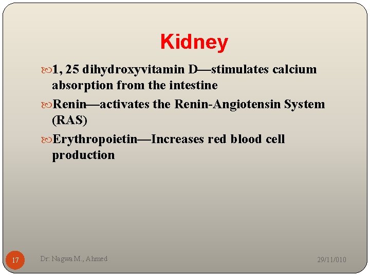 Kidney 1, 25 dihydroxyvitamin D—stimulates calcium absorption from the intestine Renin—activates the Renin-Angiotensin System