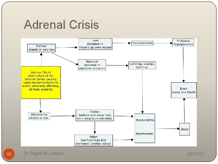 Adrenal Crisis 60 Dr: Nagwa M. , Ahmed 29/11/010 