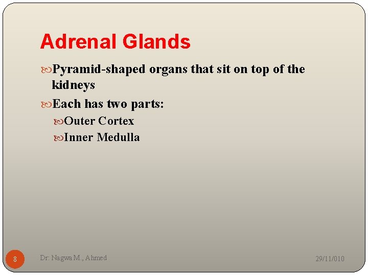 Adrenal Glands Pyramid-shaped organs that sit on top of the kidneys Each has two