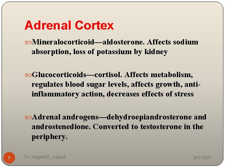 Adrenal Cortex Mineralocorticoid—aldosterone. Affects sodium absorption, loss of potassium by kidney Glucocorticoids—cortisol. Affects metabolism,