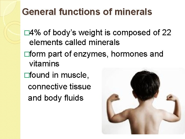 General functions of minerals � 4% of body’s weight is composed of 22 elements