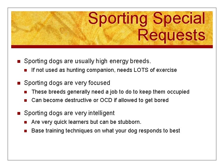 Sporting Special Requests n Sporting dogs are usually high energy breeds. n n n