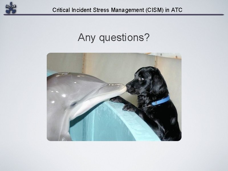 Critical Incident Stress Management (CISM) in ATC Any questions? 