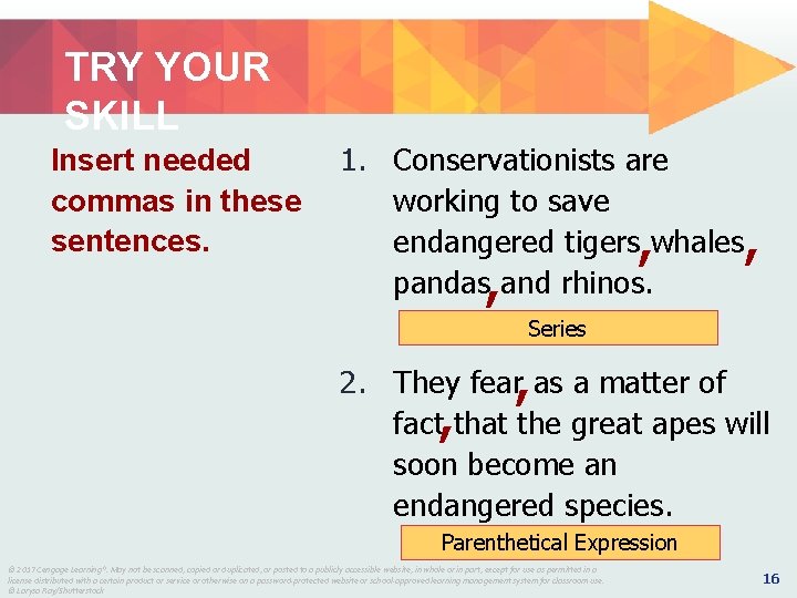 TRY YOUR SKILL Insert needed commas in these sentences. 1. Conservationists are working to