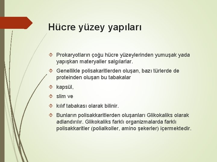 Hücre yüzey yapıları Prokaryotların çoğu hücre yüzeylerinden yumuşak yada yapışkan materyaller salgılarlar. Genellikle polisakaritlerden