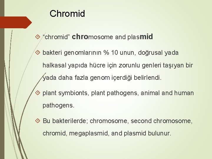 Chromid “chromid” chromosome and plasmid bakteri genomlarının % 10 unun, doğrusal yada halkasal yapıda