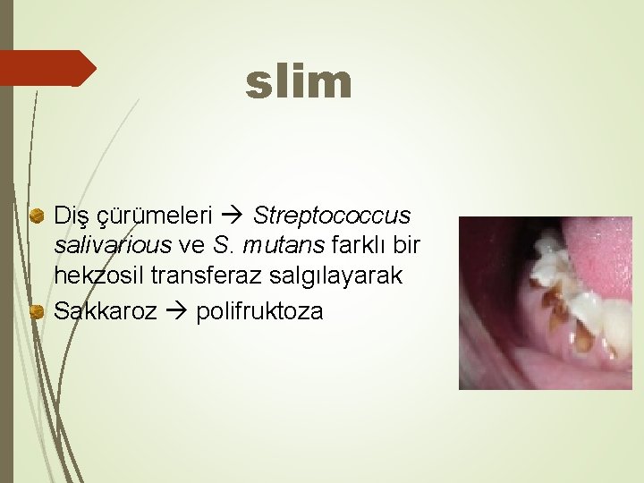 slim Diş çürümeleri Streptococcus salivarious ve S. mutans farklı bir hekzosil transferaz salgılayarak Sakkaroz