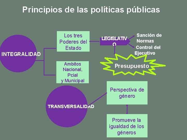 Principios de las políticas públicas Los tres Poderes del Estado INTEGRALIDAD Ambitos Nacional, Pcial