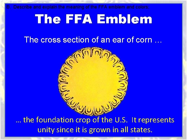 B. Describe and explain the meaning of the FFA emblem and colors; The FFA B. Describe and explain the meaning of the FFA emblem and colors; The FFA