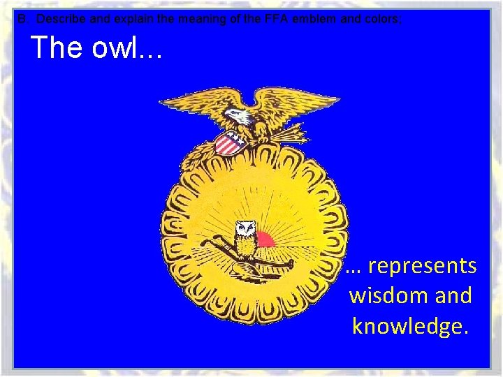 B. Describe and explain the meaning of the FFA emblem and colors; The owl. B. Describe and explain the meaning of the FFA emblem and colors; The owl.