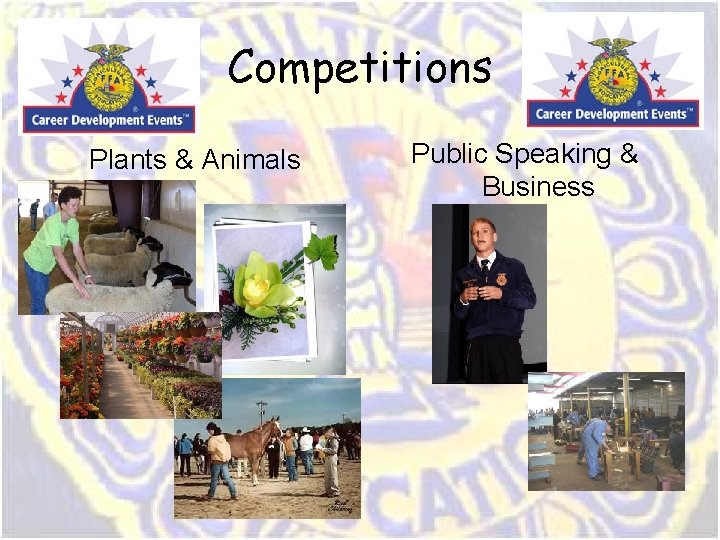 Competitions Plants & Animals Public Speaking & Business Competitions Plants & Animals Public Speaking & Business
