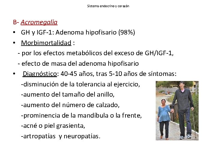 Sistema endocrino y corazón B- Acromegalia • GH y IGF-1: Adenoma hipofisario (98%) •