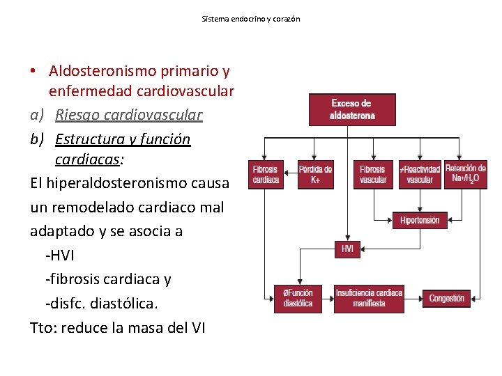 Sistema endocrino y corazón • Aldosteronismo primario y enfermedad cardiovascular a) Riesgo cardiovascular b)