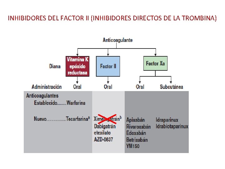 INHIBIDORES DEL FACTOR II (INHIBIDORES DIRECTOS DE LA TROMBINA) 