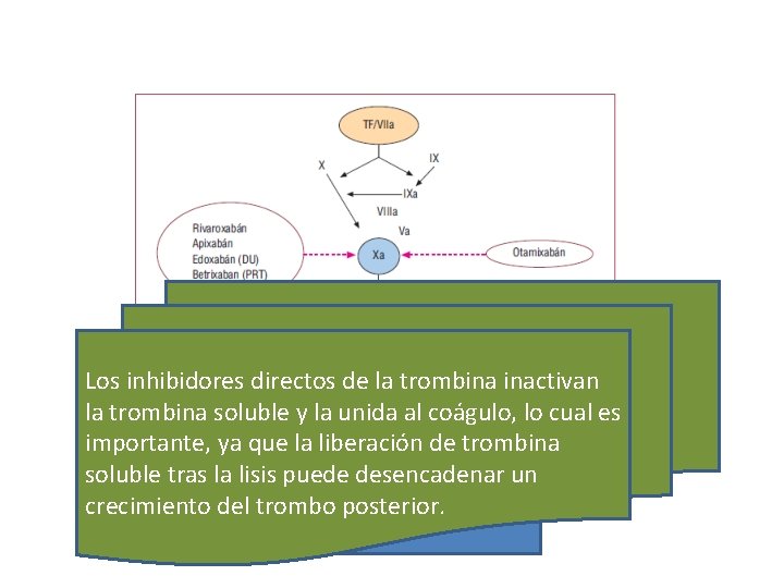 Los inhibidores directos de la trombina inactivan la trombina soluble y la unida al