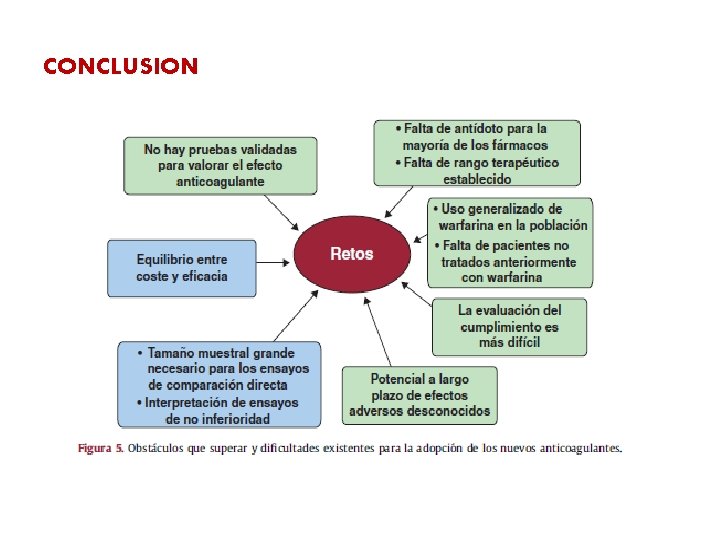 CONCLUSION 