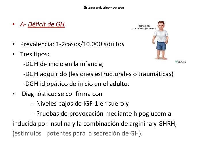 Sistema endocrino y corazón • A- Déficit de GH • Prevalencia: 1 -2 casos/10.