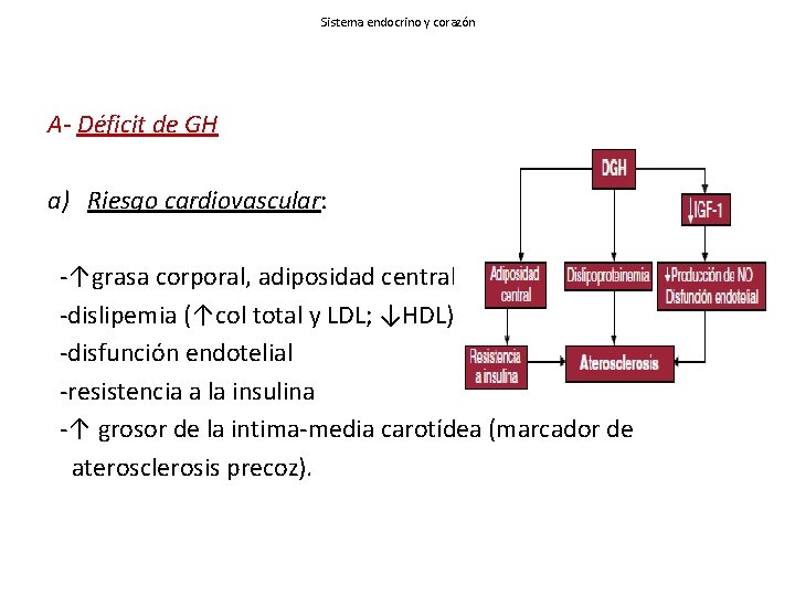 Sistema endocrino y corazón A- Déficit de GH a) Riesgo cardiovascular: -↑grasa corporal, adiposidad