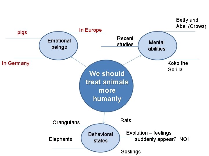 Betty and Abel (Crows) In Europe pigs Recent studies Emotional beings In Germany We