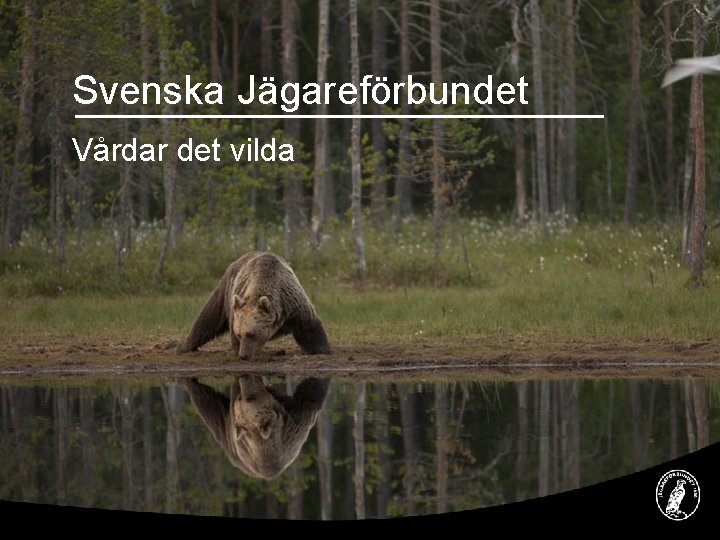 Svenska Jägareförbundet Vårdar det vilda 