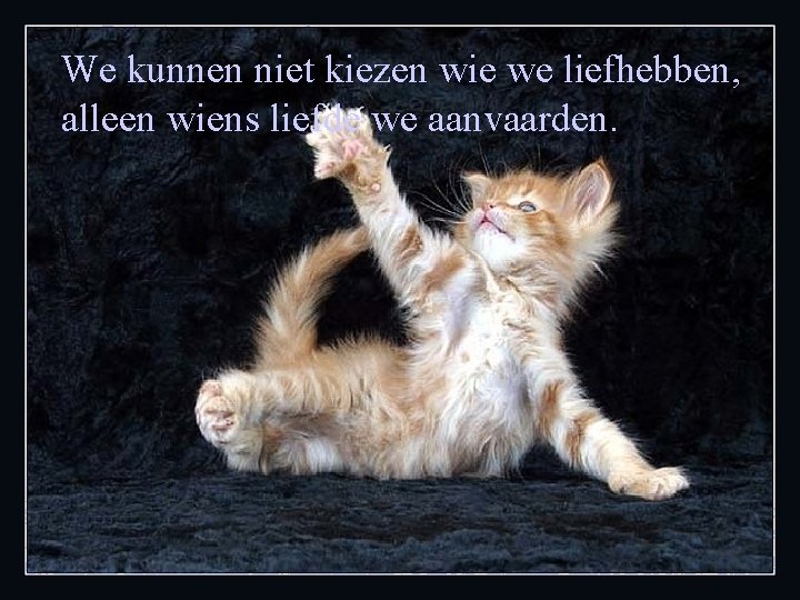 We kunnen niet kiezen wie we liefhebben, alleen wiens liefde we aanvaarden. 