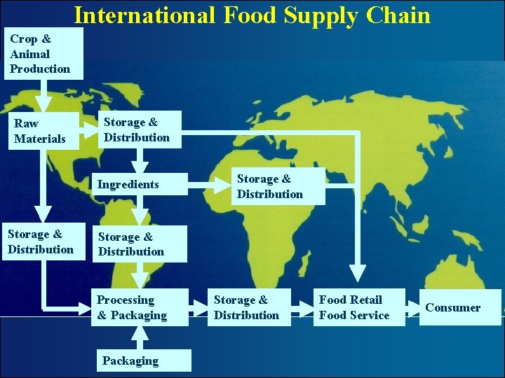 International Food Supply Chain Crop & Animal Production Raw Materials Storage & Distribution Ingredients
