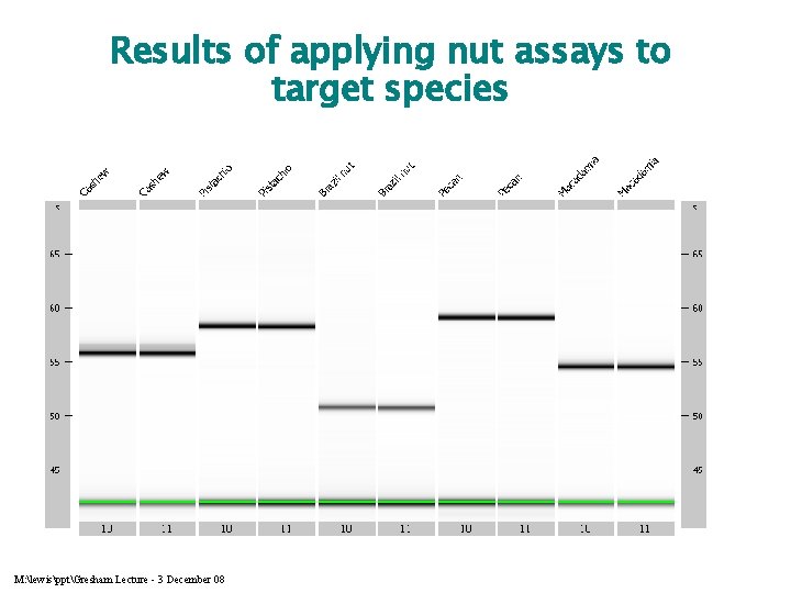 Results of applying nut assays to target species M: lewispptGresham Lecture - 3 December