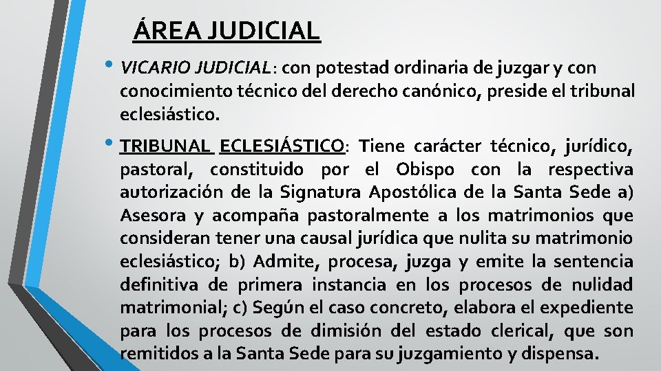 ÁREA JUDICIAL • VICARIO JUDICIAL: con potestad ordinaria de juzgar y conocimiento técnico del