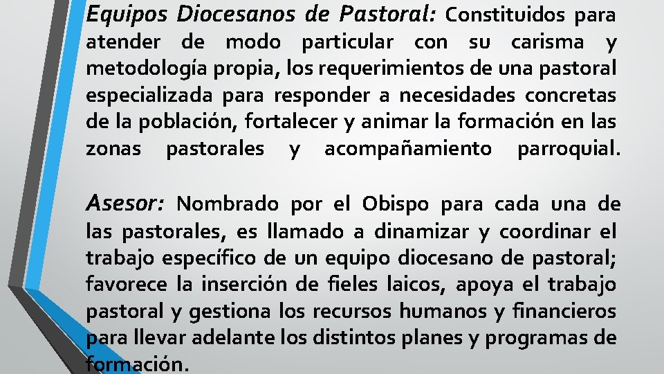 Equipos Diocesanos de Pastoral: Constituidos para atender de modo particular con su carisma y