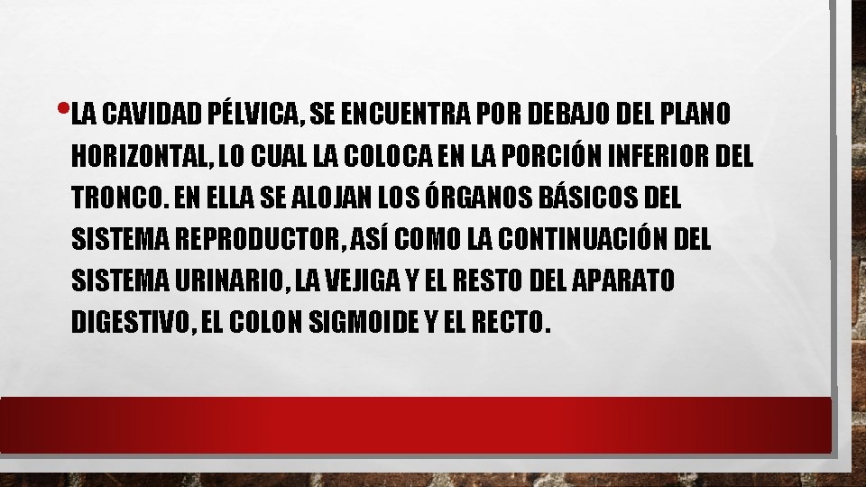  • LA CAVIDAD PÉLVICA, SE ENCUENTRA POR DEBAJO DEL PLANO HORIZONTAL, LO CUAL