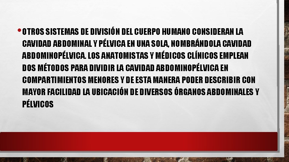  • OTROS SISTEMAS DE DIVISIÓN DEL CUERPO HUMANO CONSIDERAN LA CAVIDAD ABDOMINAL Y