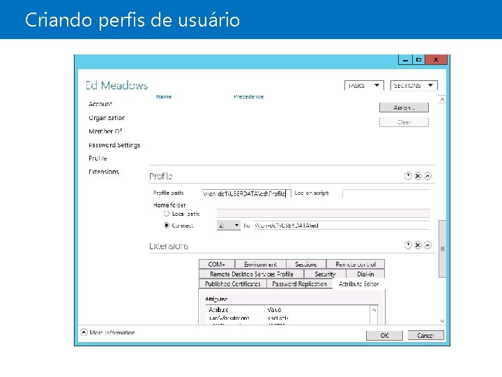 Criando perfis de usuário 