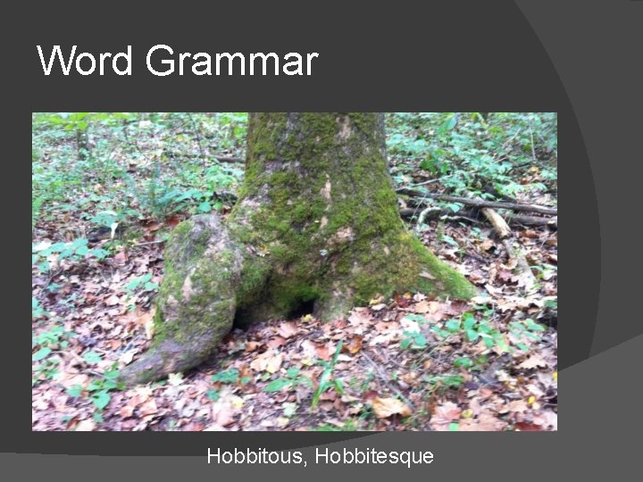 Word Grammar Hobbitous, Hobbitesque 