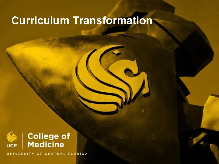 Curriculum Transformation 