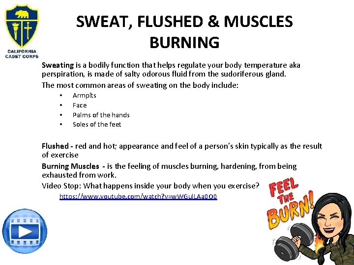 SWEAT, FLUSHED & MUSCLES BURNING Sweating is a bodily function that helps regulate your SWEAT, FLUSHED & MUSCLES BURNING Sweating is a bodily function that helps regulate your