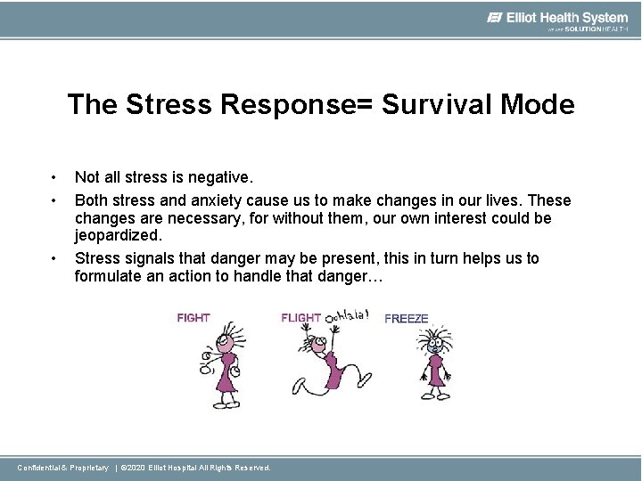 The Stress Response= Survival Mode • • • Not all stress is negative. Both