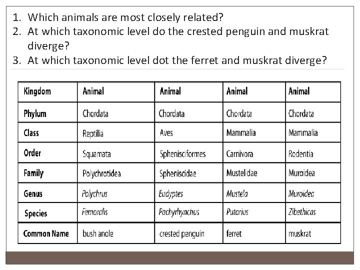1. Which animals are most closely related? 2. At which taxonomic level do the