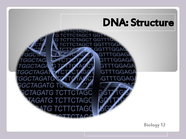 DNA: Structure Biology 12 