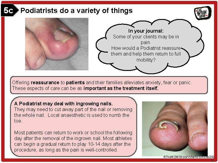 5 c Podiatrists do a variety of things In your journal: Some of your