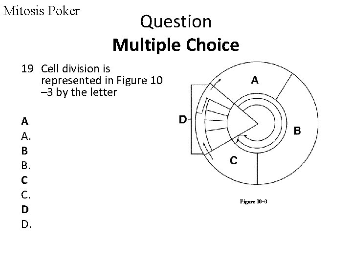 Mitosis Poker Question Multiple Choice 19 Cell division is represented in Figure 10 –