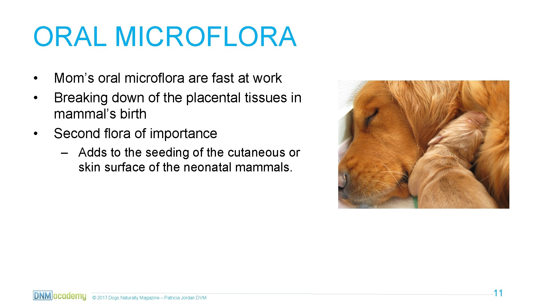 ORAL MICROFLORA • • • Mom’s oral microflora are fast at work Breaking down