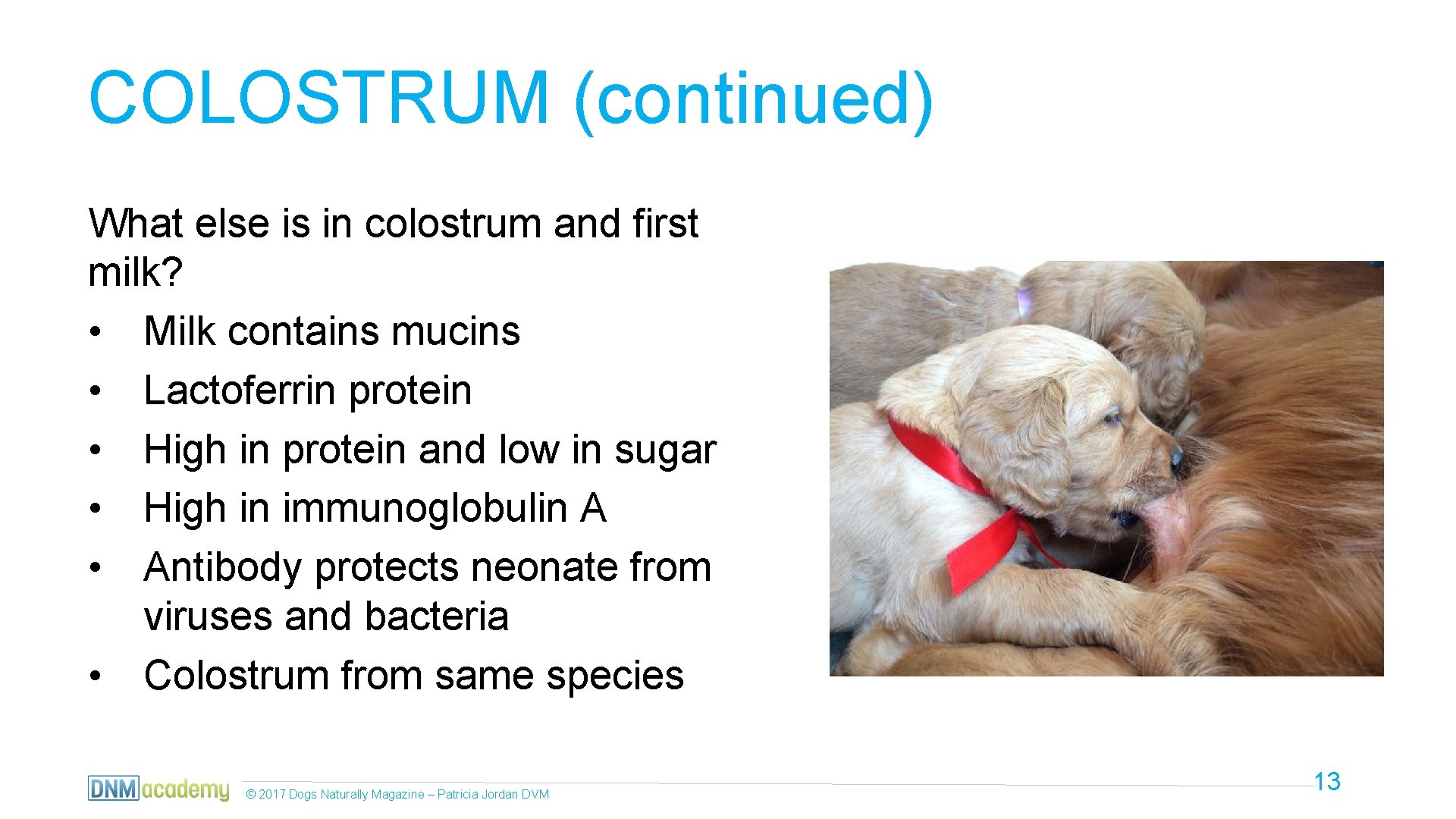 COLOSTRUM (continued) What else is in colostrum and first milk? • Milk contains mucins
