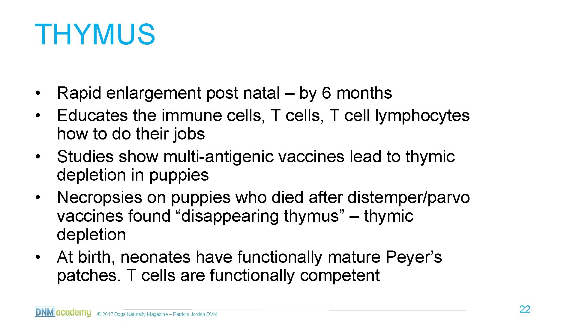 THYMUS • Rapid enlargement post natal – by 6 months • Educates the immune