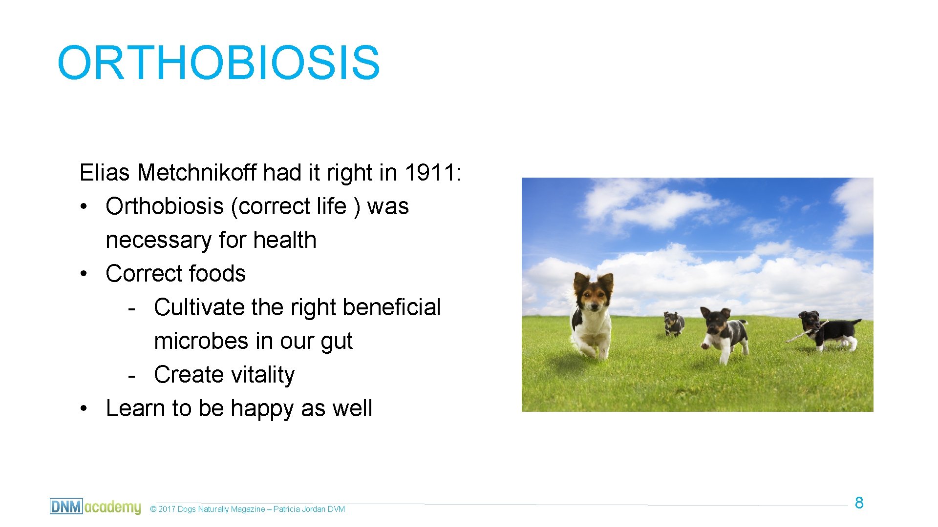 ORTHOBIOSIS Elias Metchnikoff had it right in 1911: • Orthobiosis (correct life ) was