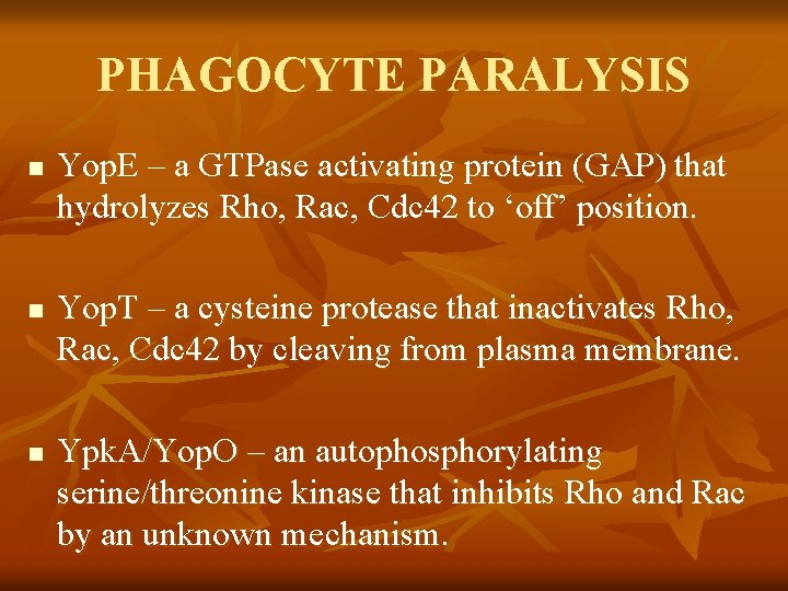 PHAGOCYTE PARALYSIS n n n Yop. E – a GTPase activating protein (GAP) that PHAGOCYTE PARALYSIS n n n Yop. E – a GTPase activating protein (GAP) that