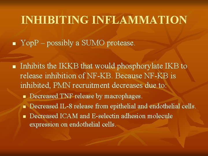 INHIBITING INFLAMMATION n n Yop. P – possibly a SUMO protease. Inhibits the IKKB INHIBITING INFLAMMATION n n Yop. P – possibly a SUMO protease. Inhibits the IKKB
